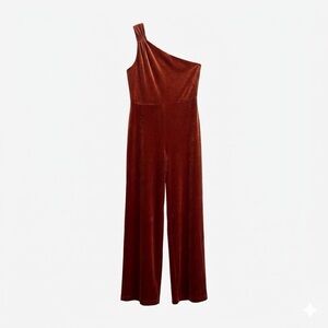 NWT Banana Republic Rust Red Velvet One Shoulder Wide Leg Jumpsuit Size MP